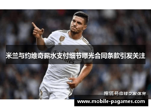 米兰与约维奇薪水支付细节曝光合同条款引发关注