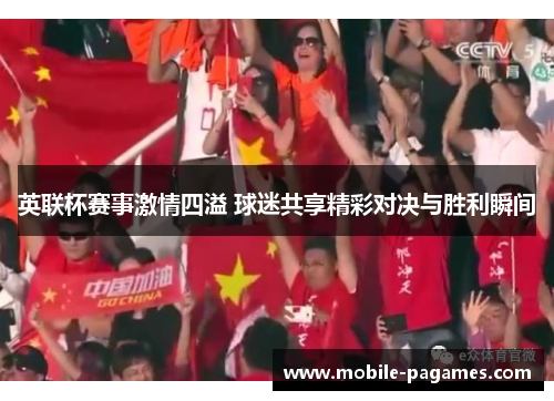英联杯赛事激情四溢 球迷共享精彩对决与胜利瞬间